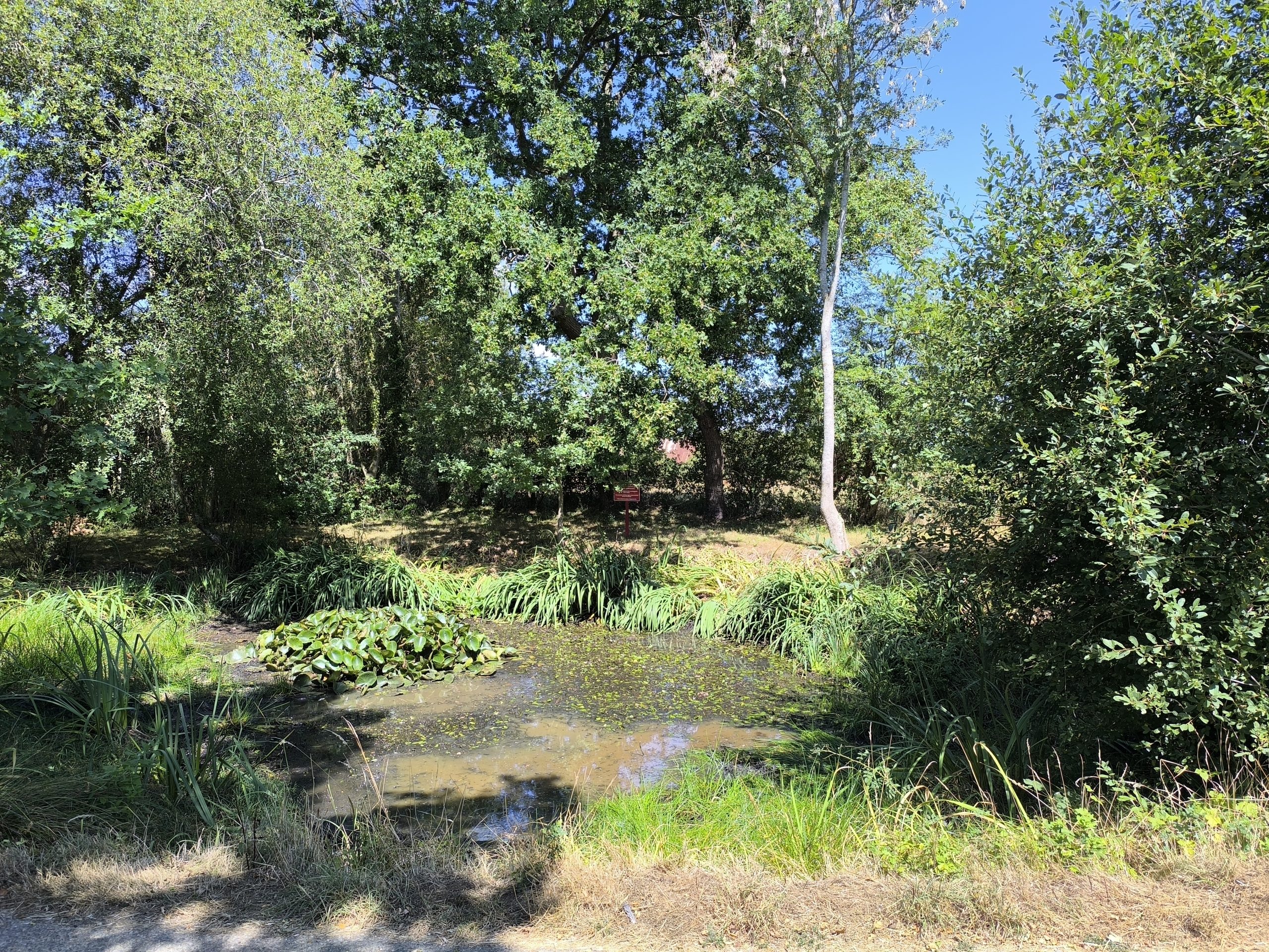 IMG_20260801_123402
