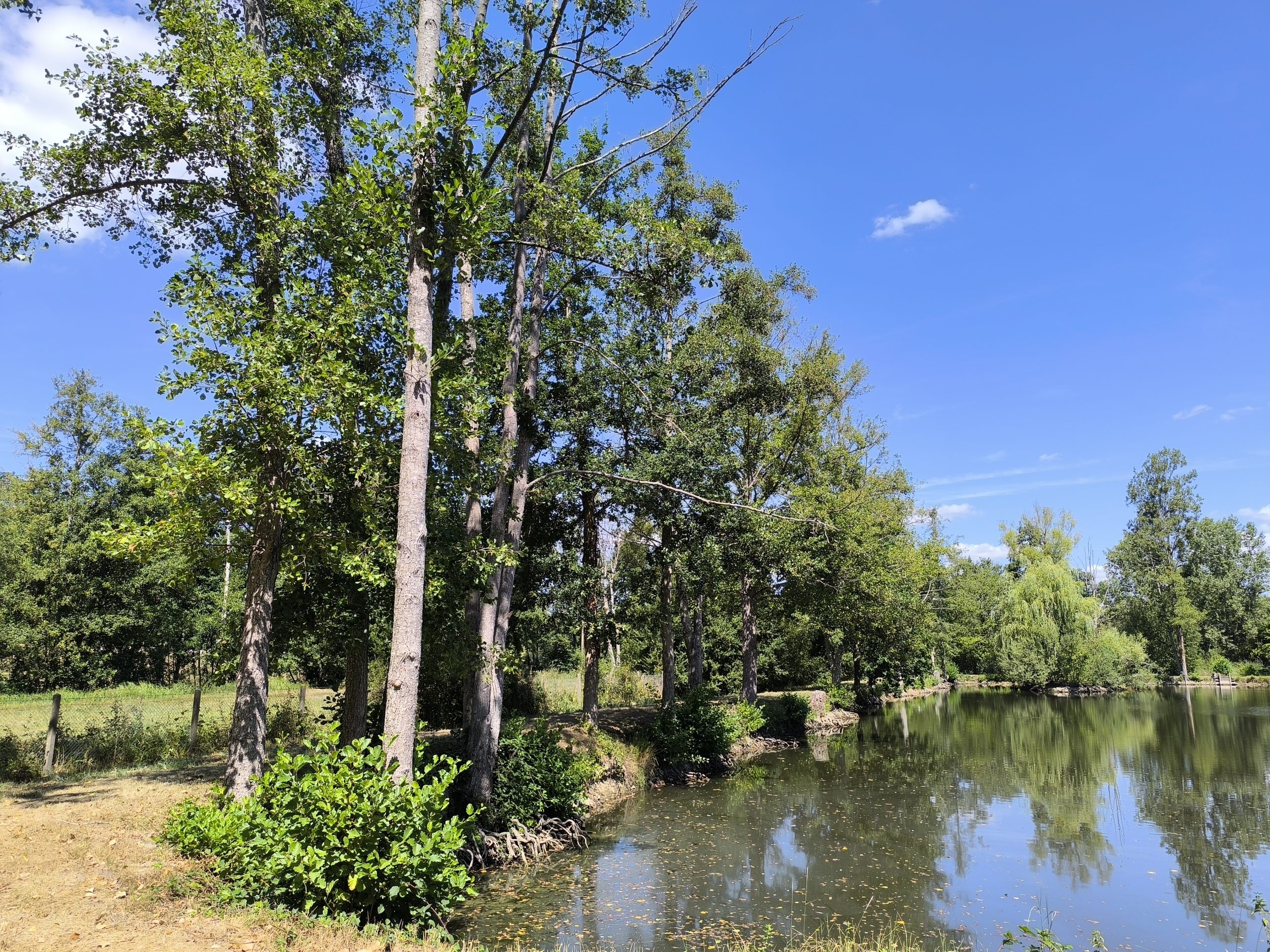 Riviere de Saint-Pierre-de-Cernières
